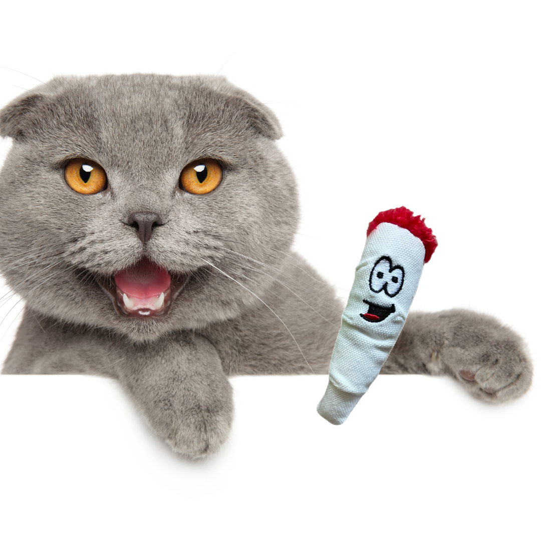Jay Jr. The Joint 420 Cat Toy - MSRP $6.99