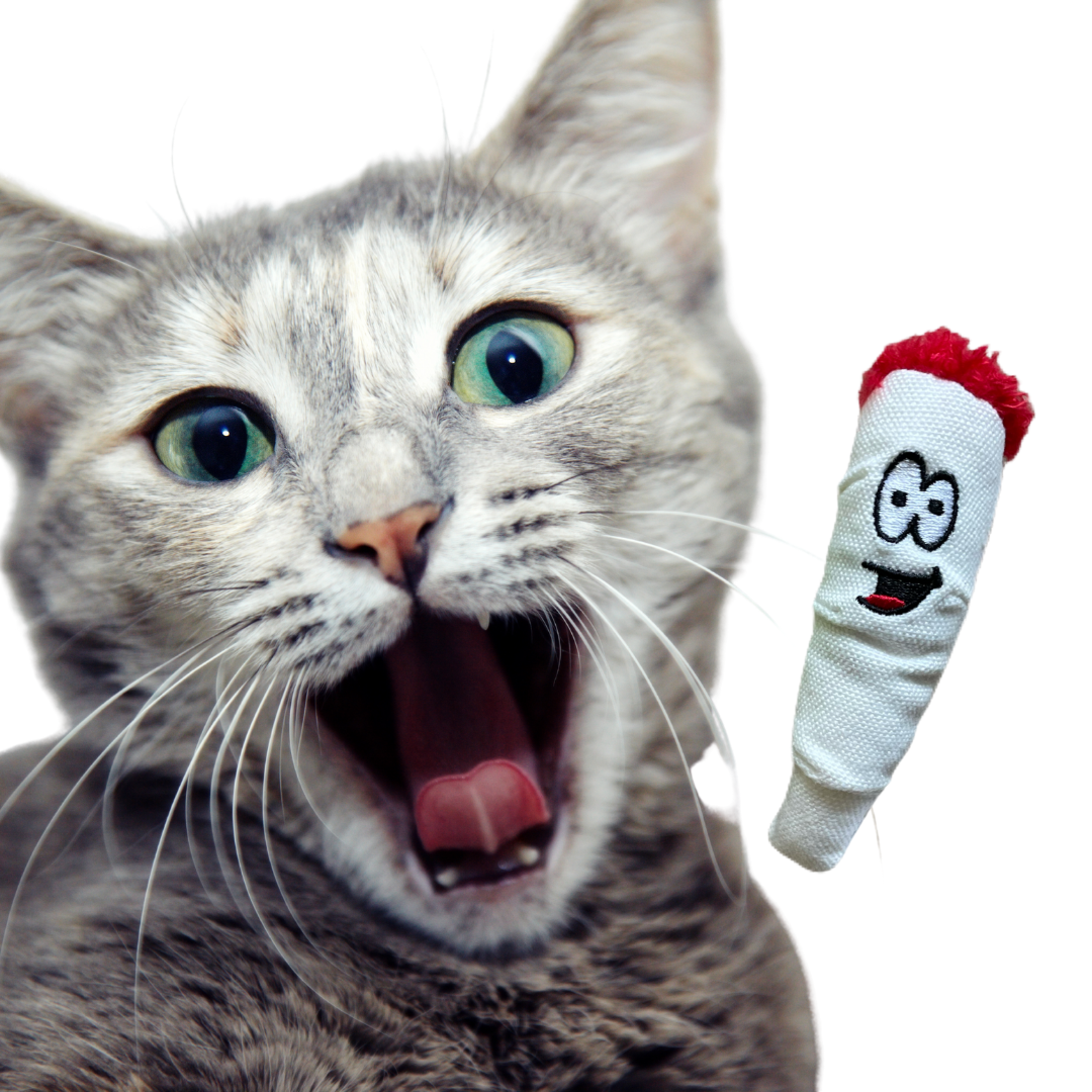 Jay Jr. The Joint 420 Cat Toy - MSRP $6.99