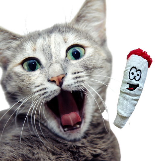 Jay Jr. The Joint 420 Cat Toy - MSRP $6.99