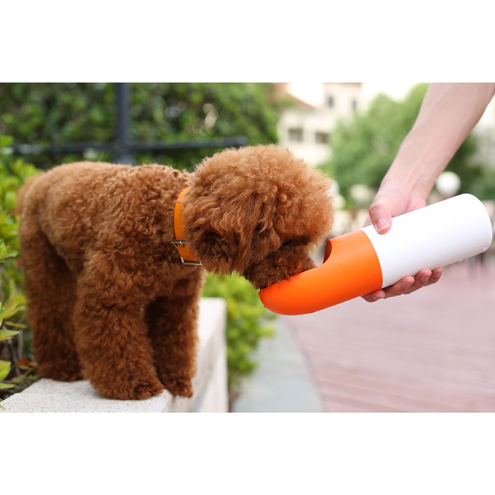 Instachew Rover Pet Travel Bottle, Dog Water Bottle